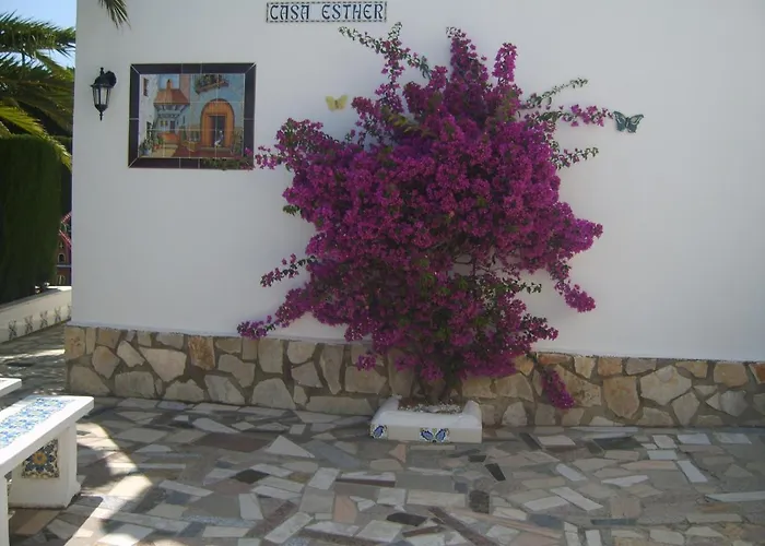 Spacious Family With Airco, Private 5x10m Pool, Sandy 300m, Free Wifi Dom wakacyjny *