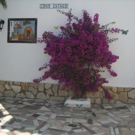 Spacious Bungalow With Airco, Private 5X10M Pool, Sandy Beach 300M, Free Wifi Holiday home *